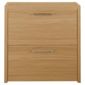 Manhattan Shoe Storage, Oak-Effect