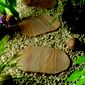 Natural Stone Indian Sunset Stepping Stones