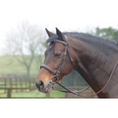 Cottage Craft Cambridge Bridle with Reins Havana F