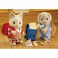 Sylvanian Families School Pupils Set