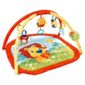 Bright Starts Lion in the Park Baby Activity Play Gym