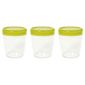 Omada Set of 3 0.75L Dune Storage Jars, Green