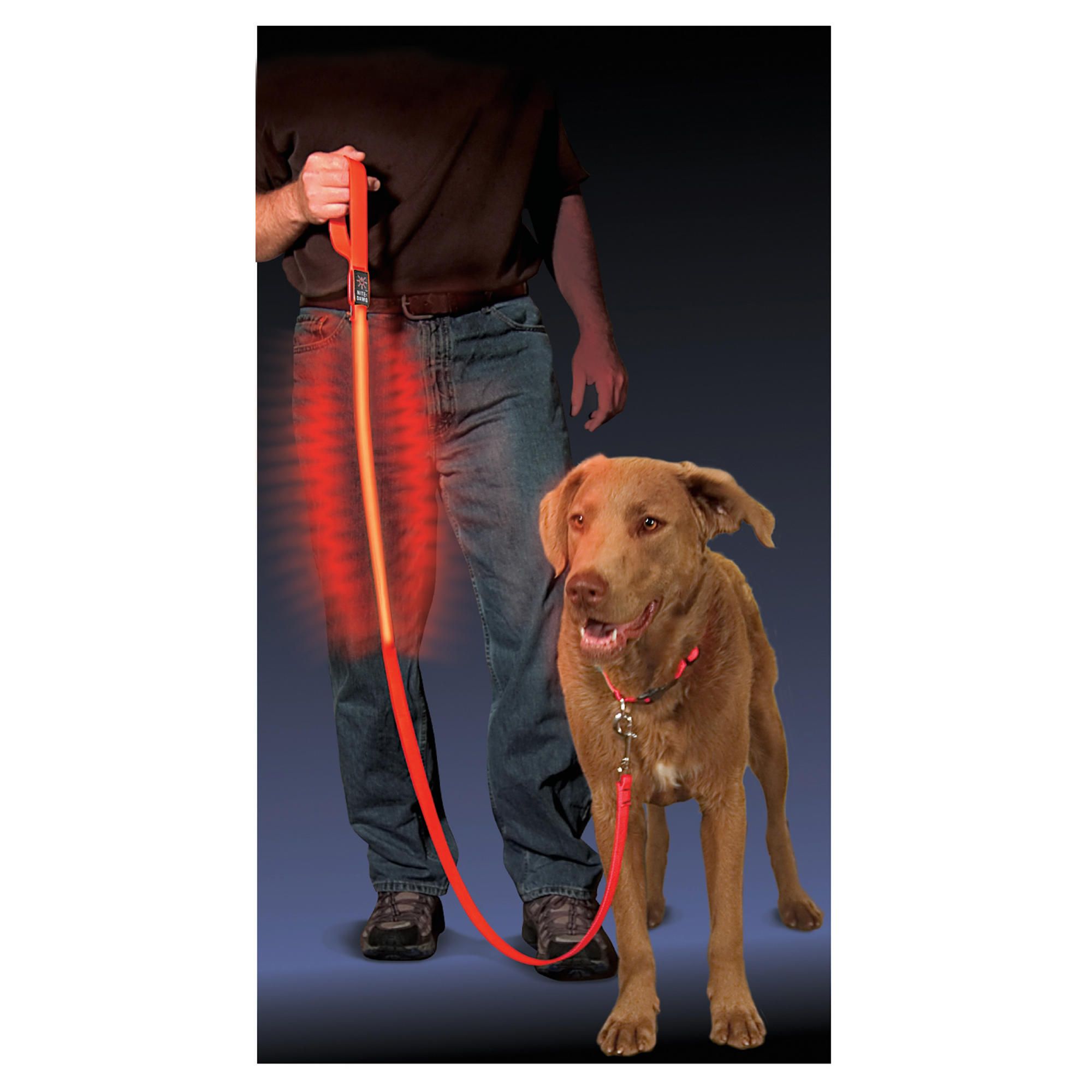 Nite Ize LED Dog Leash