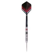Raymond Van Barneveld Silver Star darts