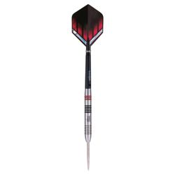 Raymond Van Barneveld Silver Star darts