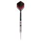 Raymond Van Barneveld Silver Star darts