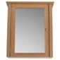 Portico Light Wood Wall Cabinet with Mirrored single door