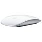 Apple Multi - Touch Magic Mouse