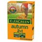 Evergreen Autumn 2 in 1 carton