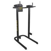 Golds Gym Dipping Station