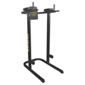 Golds Gym Dipping Station