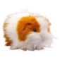 Animagic Hoppers Patch Soft Toy