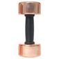 Golds Gym Heritage Brass Dumbbell (3kg Pair)