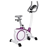 Kelly Holmes Exercise Bike
