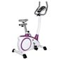 Kelly Holmes Exercise Bike
