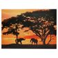 Sunset Elephants