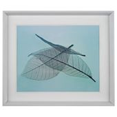 Leaf Framed Print