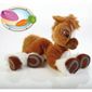 Toffee the Pony