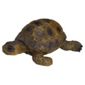 Schleich Tortoise