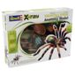 Revell X-Ray Animals Tarantula Spider