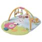 Baby Fehn Rabbit Baby Activity Play Gym