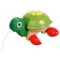 Pull Along Tortoise Wooden Toy