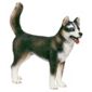 Schleich Husky Male