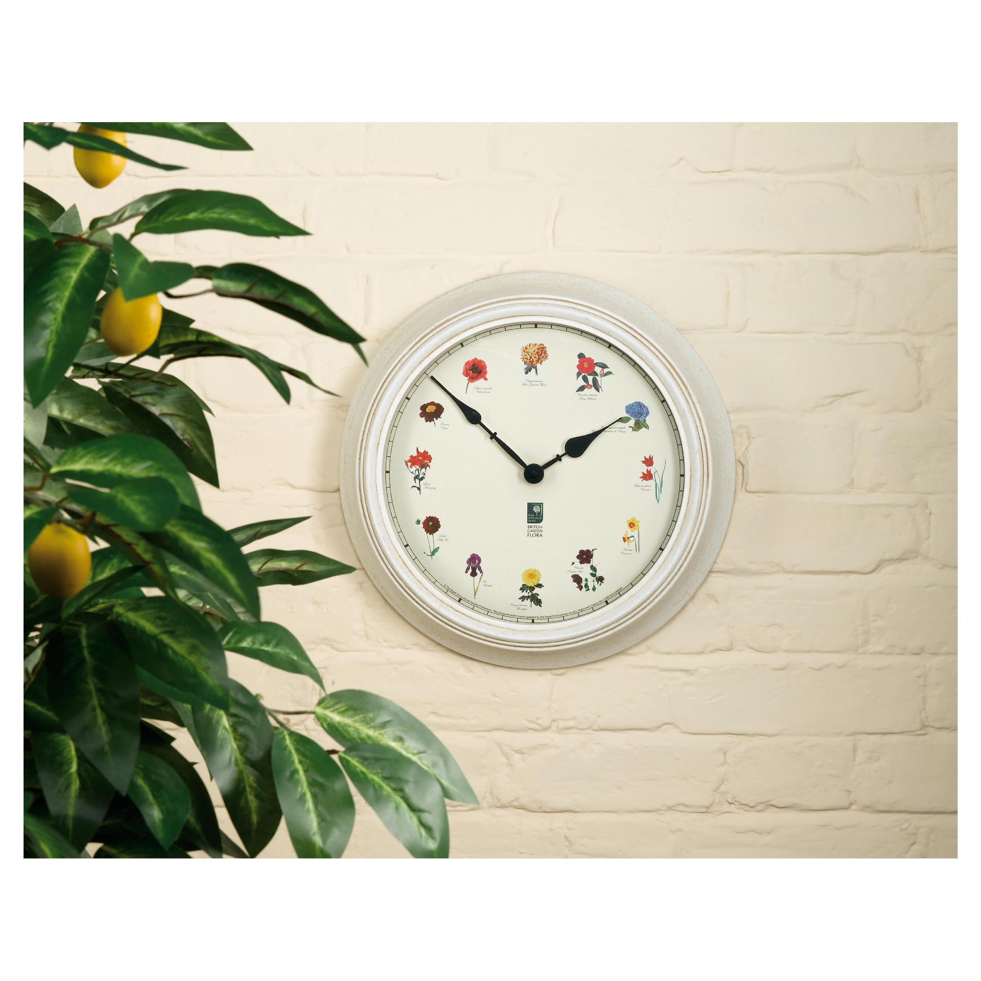 RHS Outdoor Clock British Garden Flora 