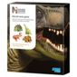 Natural History Museum Mould & Paint Dinosaur