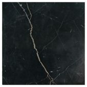 Polished Marble W&F Tile (30x30cm) Black