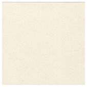 Porcelain Multi Use Tile  (60x60cm) White