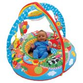New Galt Playnest Farm Baby Activity Play Gym