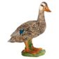 Schleich Duck