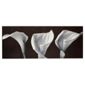 Lillies Canvas H40xW100xD2.5cm
