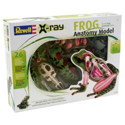 Revell X-Ray Animals Frog