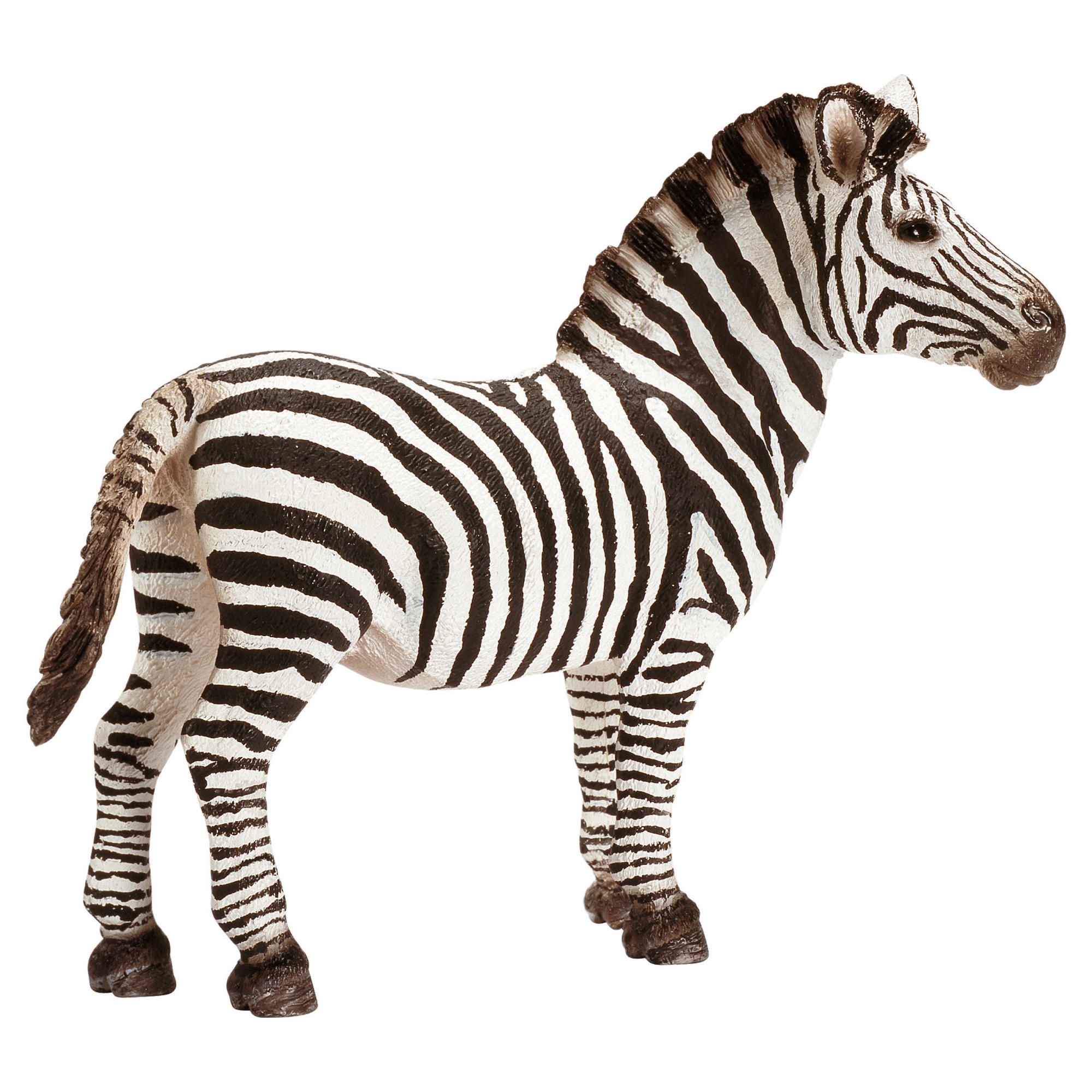 Schleich Zebra, Male