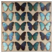 Teal Butterflies Wall Art