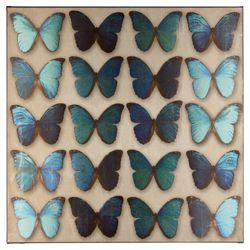 Teal Butterflies Wall Art