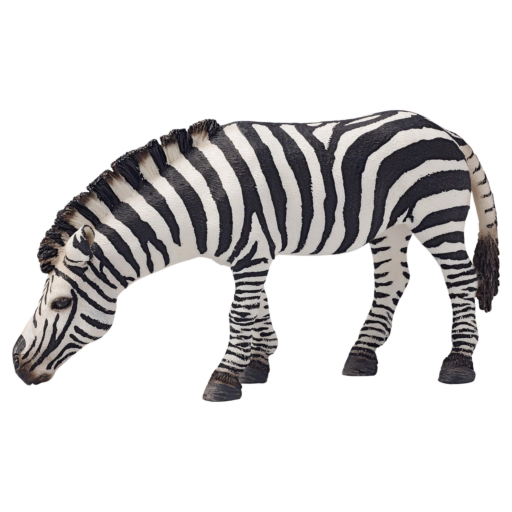 Schleich Zebra, Grazing