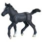Schleich Lipizzaner Foal