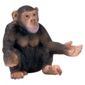 Schleich Chimpanzee, Female