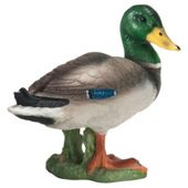 Schleich Drake Duck