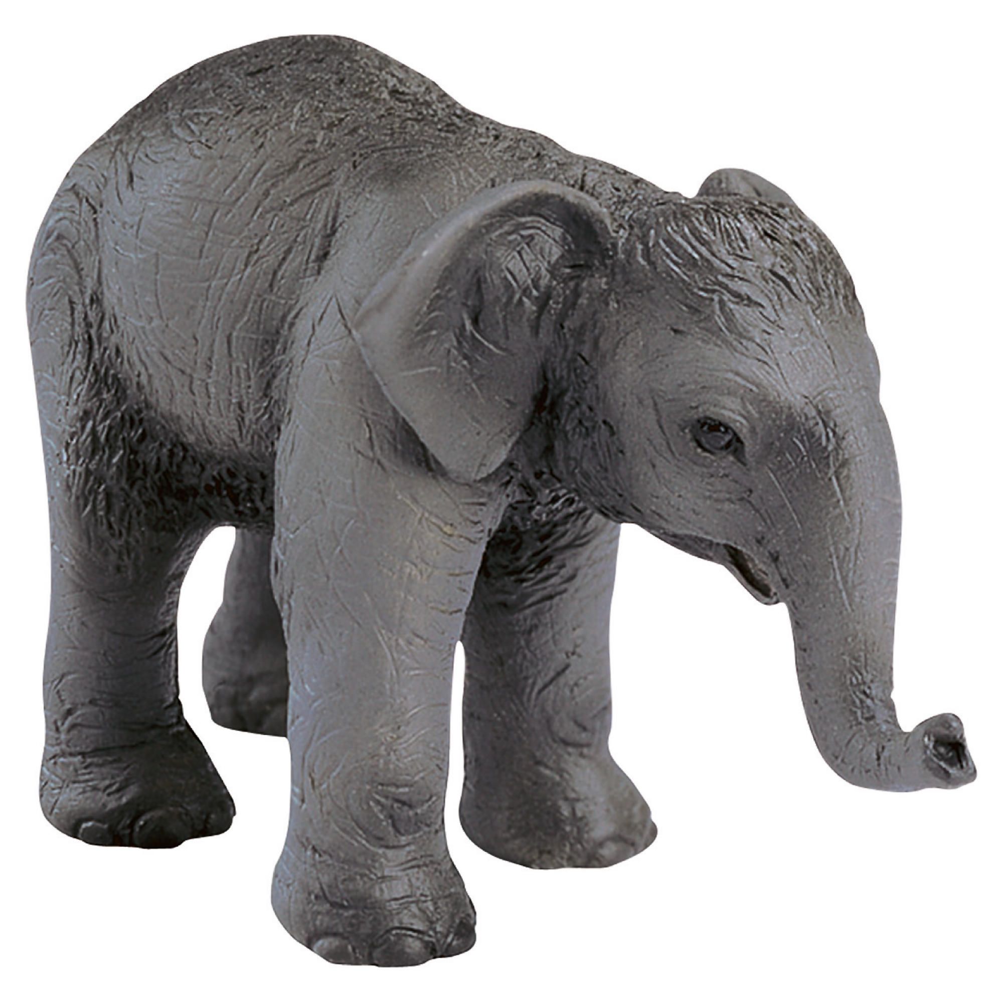 Schleich Asian Elephant Calf