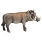 Schleich Warthog Boar