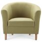 Tub Fabric Accent Chair Pistachio