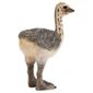 Schleich Ostrich Chick