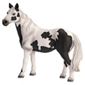Schleich Pinto Mare