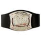 WWE Ultimate Championship Belt