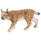 Schleich Lynx, Female