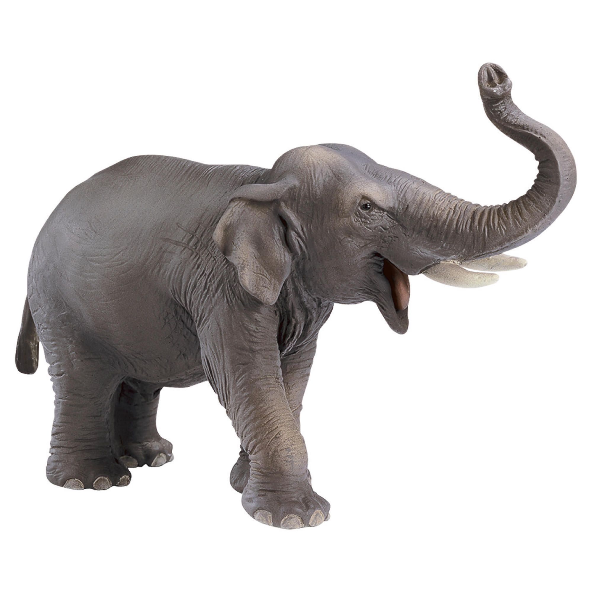 Schleich Asian Elephant, Male